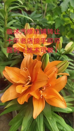 即使一条也用心拍摄 专为企业、工厂、餐饮、教育客户的汽车保养美容服务承诺